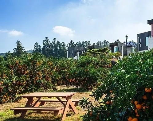 Casa vacanze Banhakeura Pension Jeju